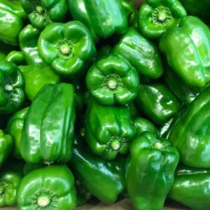 Green Pepper